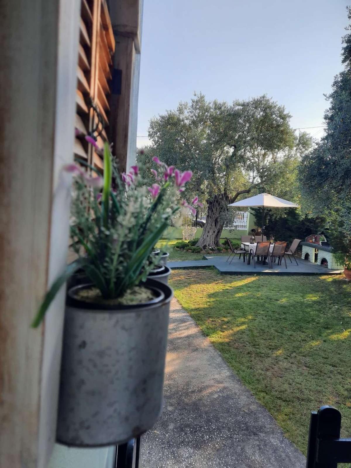 Villa Elia Skala Sotiros Exteriör bild
