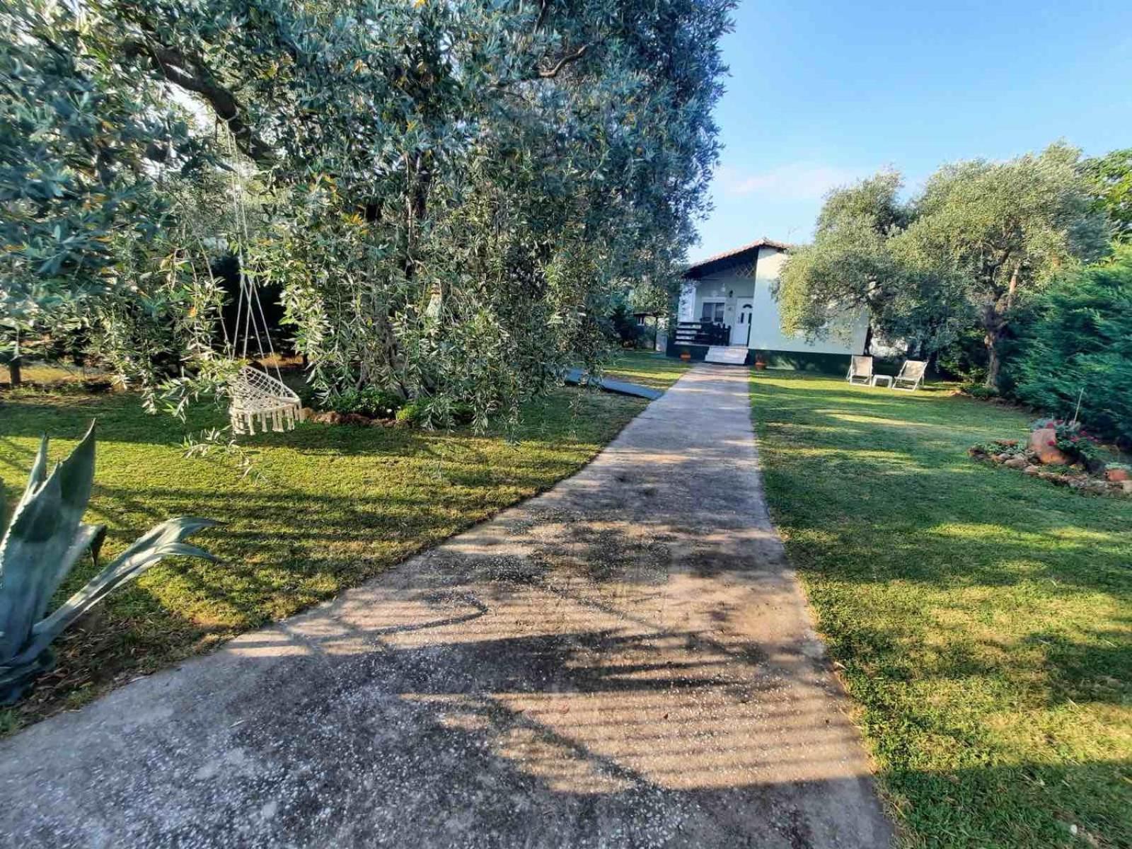 Villa Elia Skala Sotiros Exteriör bild
