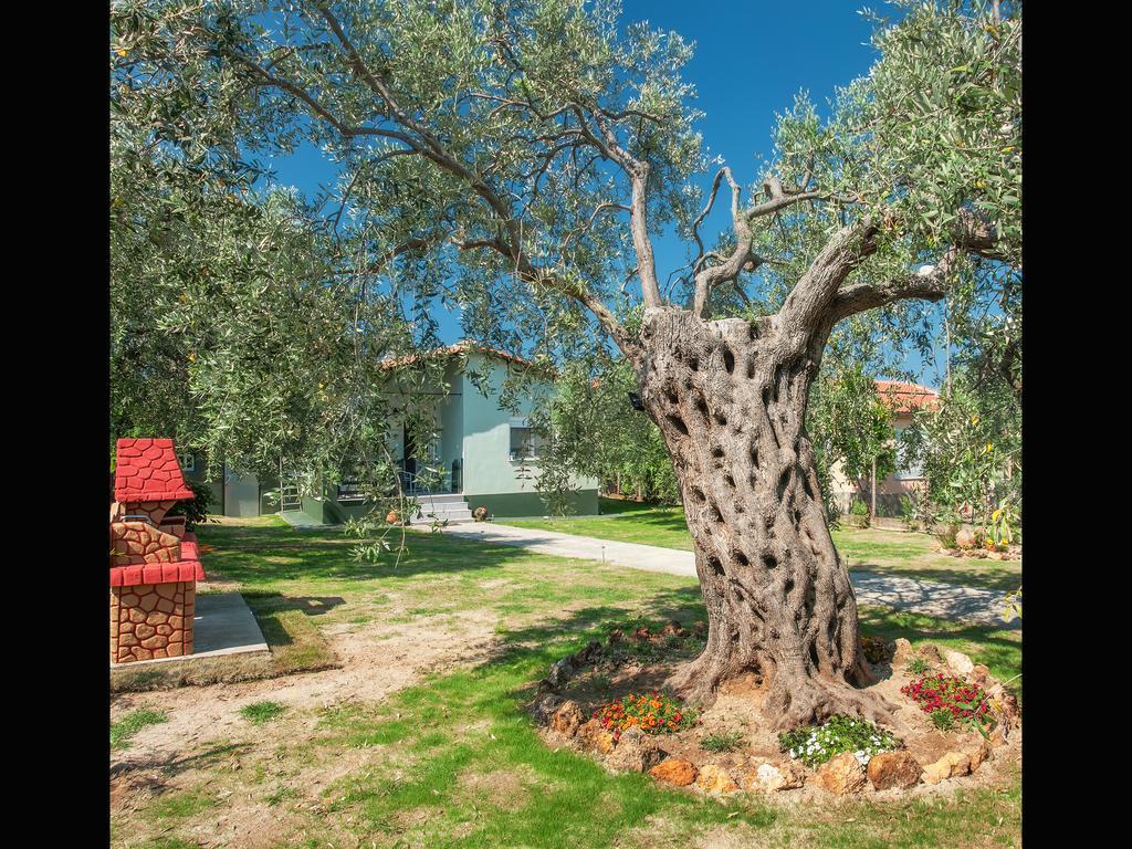 Villa Elia Skala Sotiros Exteriör bild