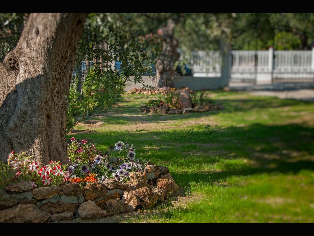 Villa Elia Skala Sotiros Exteriör bild